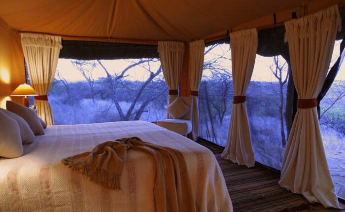 Cedarberg Travel | Elewana Lewa Safari Camp